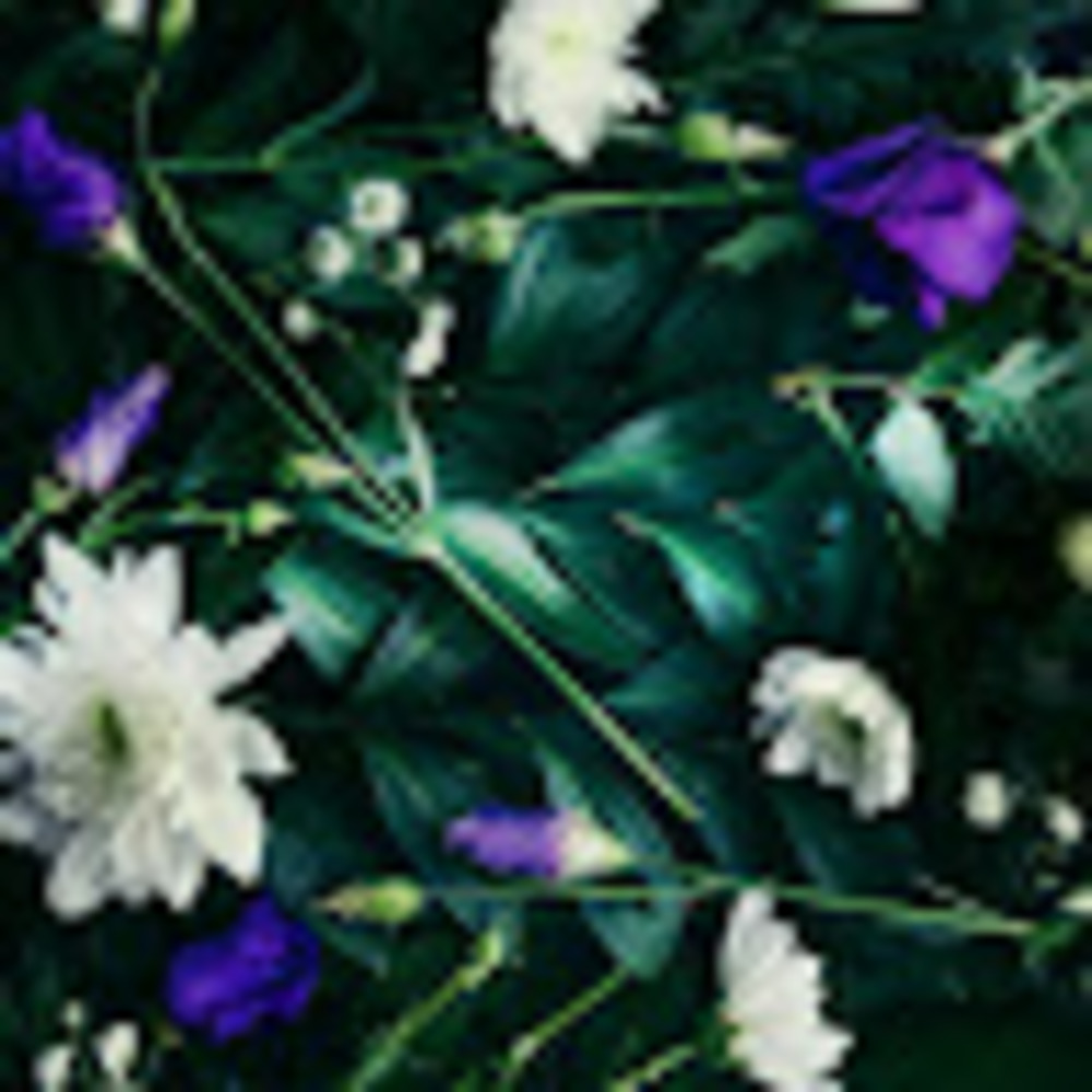 Meet your Posher, Keila